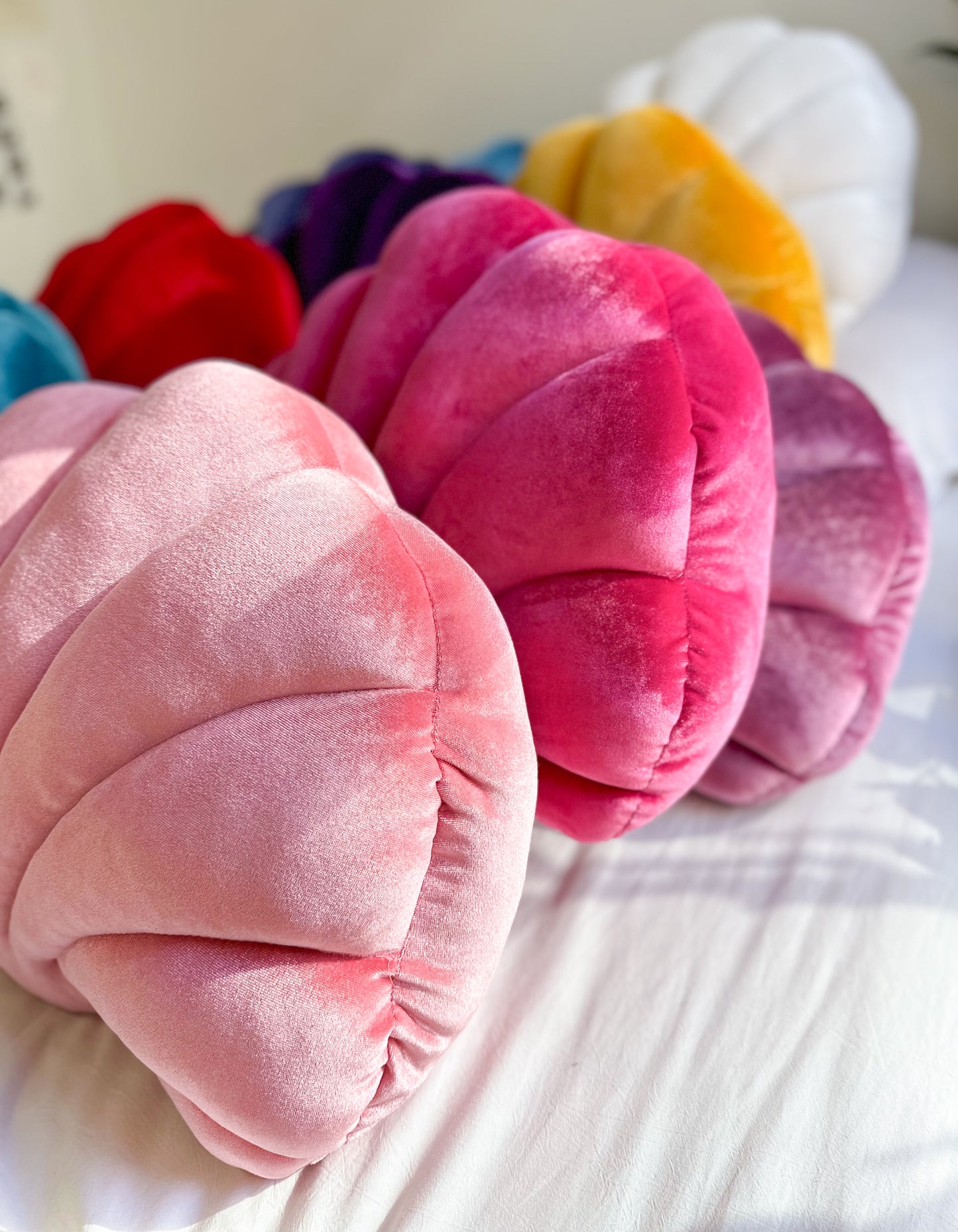 A side view of shell pillows